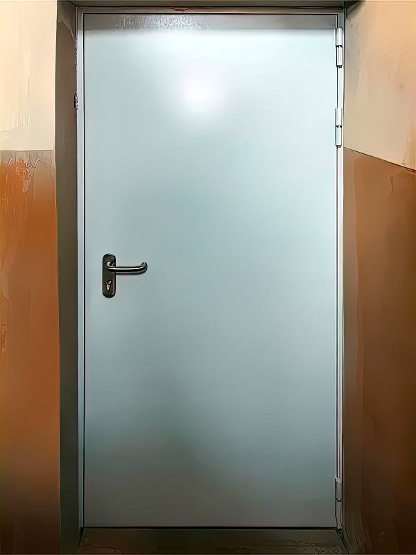 Однопольная дверь Антипаника в офисном центре